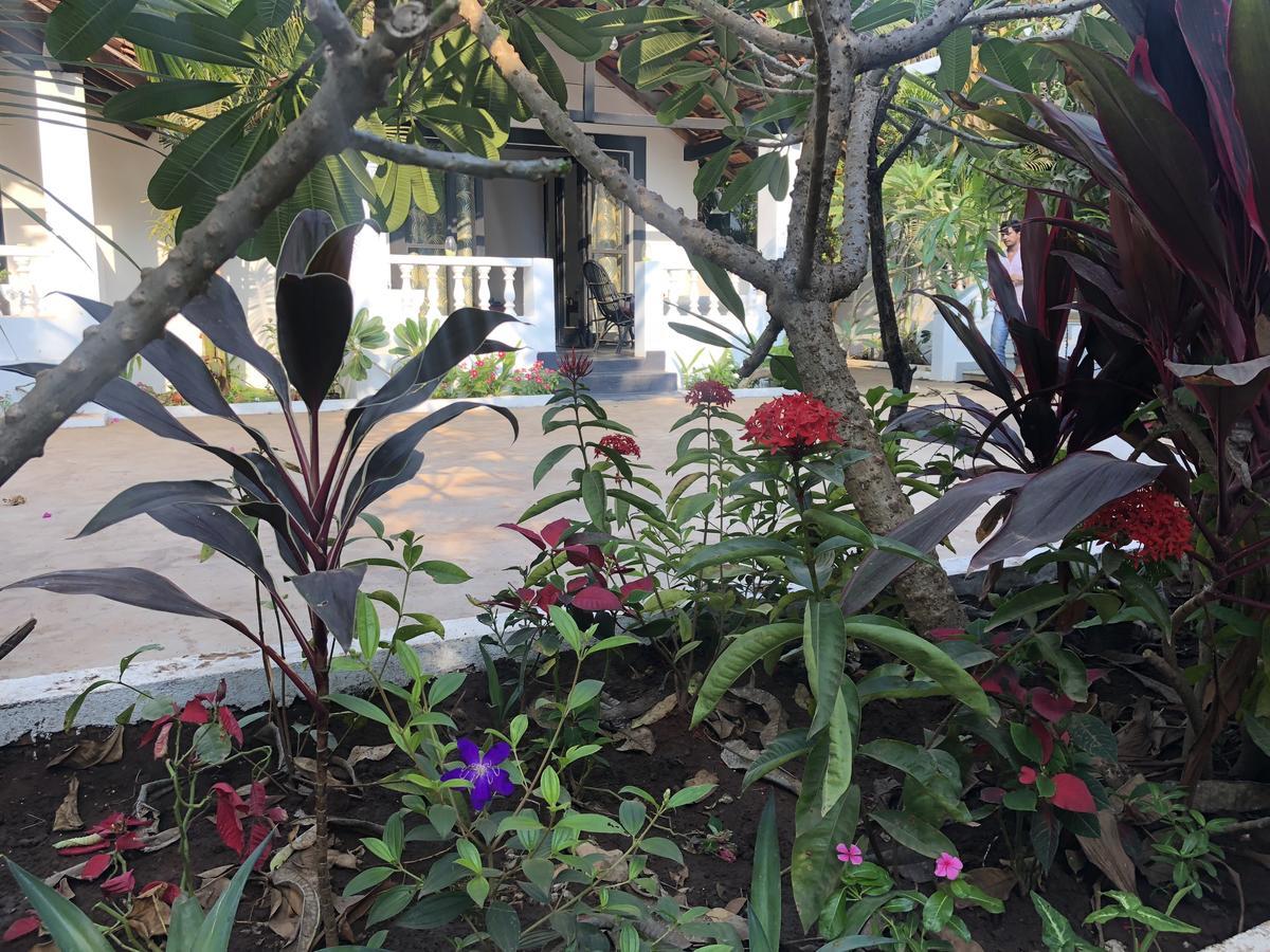 God'S Gift Morjim Hotel Buitenkant foto